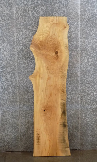 Live Edge Ash Coffee/Mantle/Table Top Slab 277